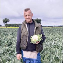 Kalafior Fortaleza w Gospodarstwie Ogrodniczym Leszka Chmielewicz