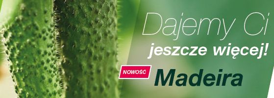 Hurtownia Ogrodnicza Flortom Sp.j.